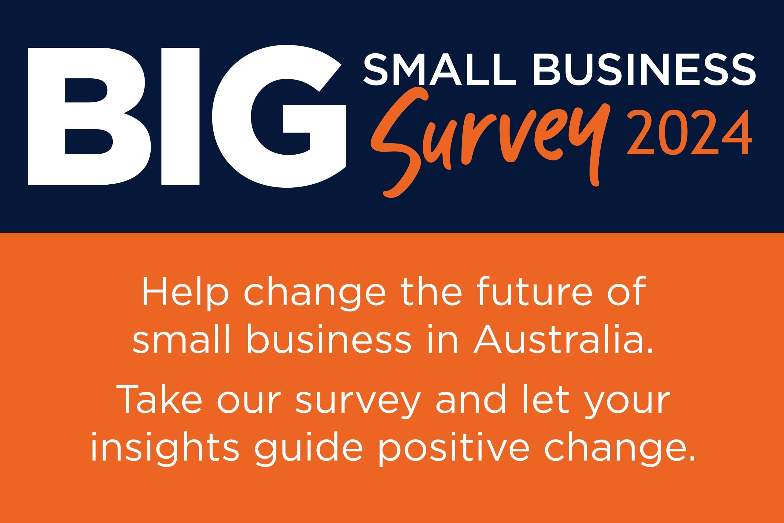 The Big Small Business Survey 2024